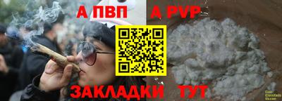 гашик Донецк