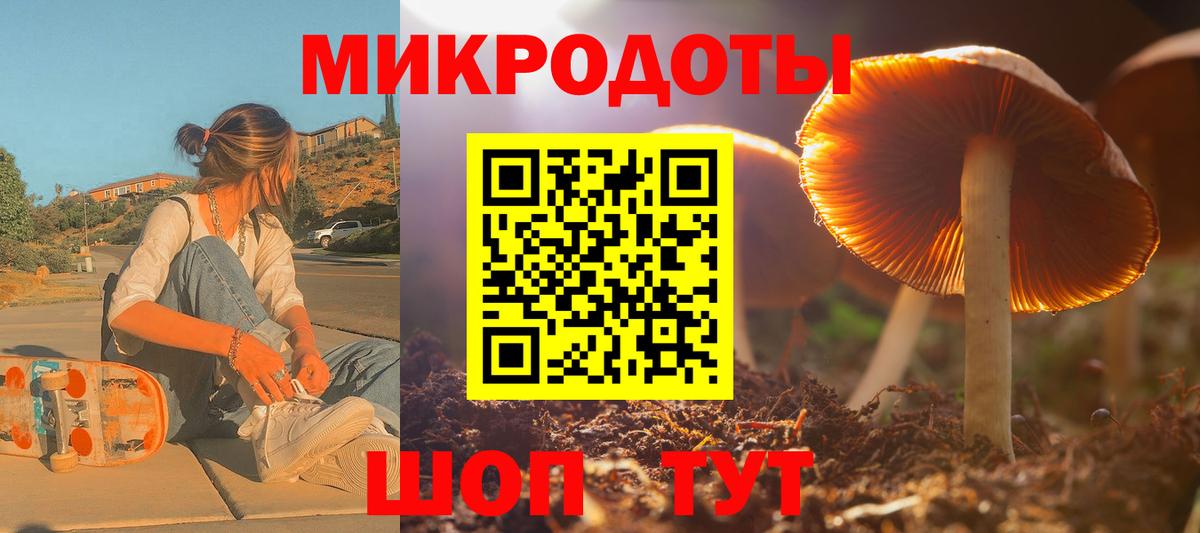 Галлюциногенные грибы Psilocybe Минеральные Воды